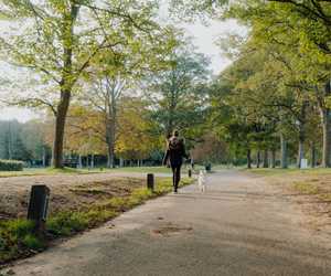 Rolstons Watford Cassiobury